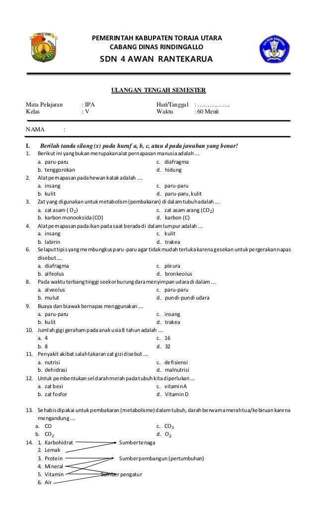Soal Ipa Kls 3 Semester 2 Dalchaebi