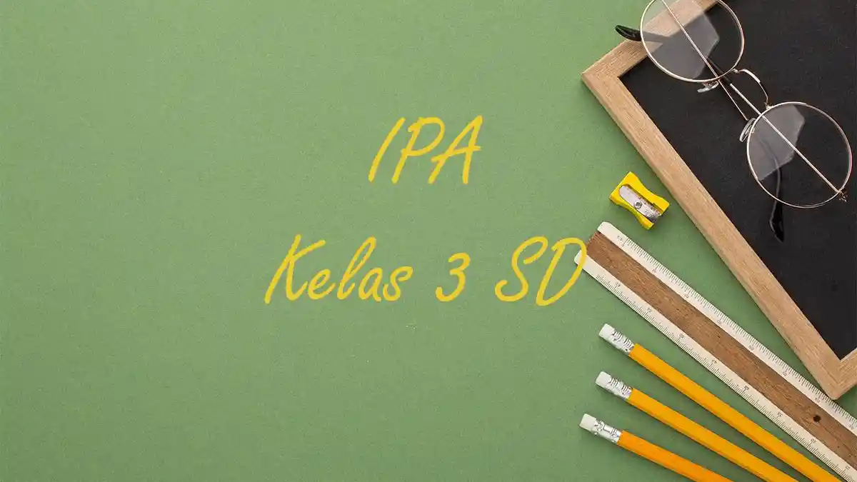 50 Contoh Soal PAT IPA Kelas 3 SD Semester 2 Lengkap Kunci Jawaban