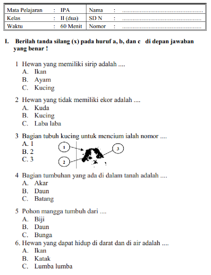 Ternyata Ini 15 Contoh Soal IPA Kelas 3 SD Semester 2 yang Sering Keluar Saat Ujian 2026
