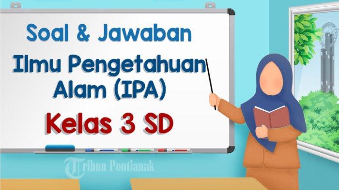 Kumpulan Soal IPAS Kelas 3 SD MI Semester 2 Kurikulum Merdeka dan Kunci