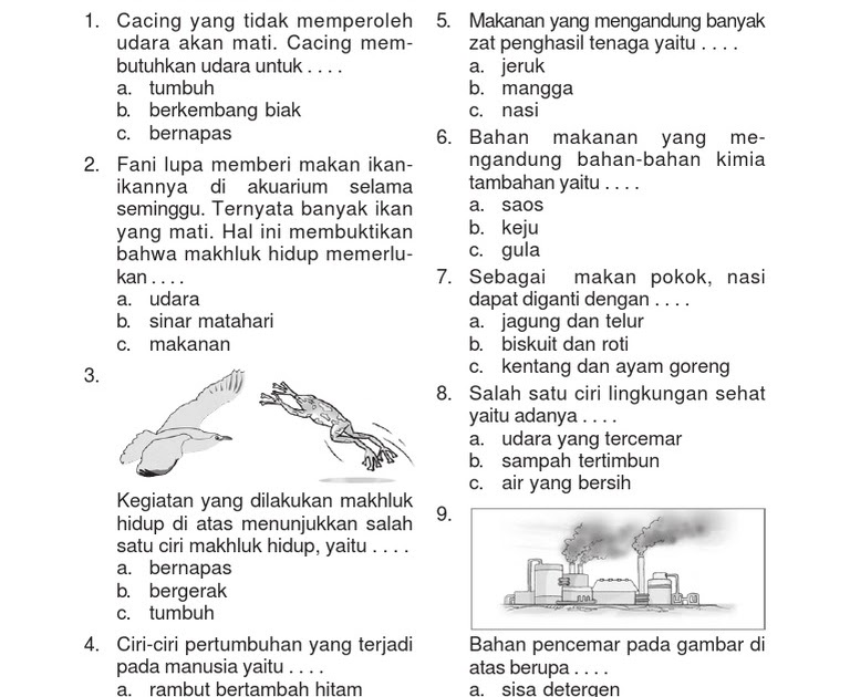 5 Contoh Soal IPA Kelas 3 Lingkungan Sehat dan Tidak Sehat Terbukti Efektif 2026 5 Contoh Soal IPA Kelas 3 Lingkungan Sehat dan Tidak Sehat Terbukti Efektif 2026